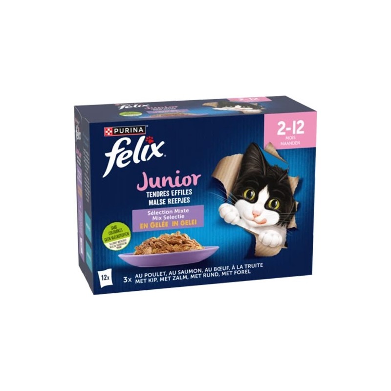 FELIX JUNIOR 12 X 85g