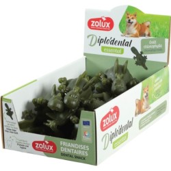 DIPLODENTAL L CHLOROPHYLLE