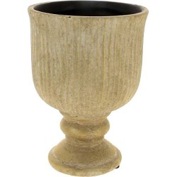 COUPE OR D15.5 H21.5CM