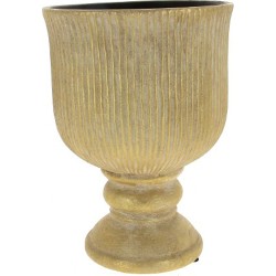 COUPE OR D20.5 H28.5CM