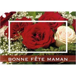 CARTES BONNE FÊTE MAMAN +...