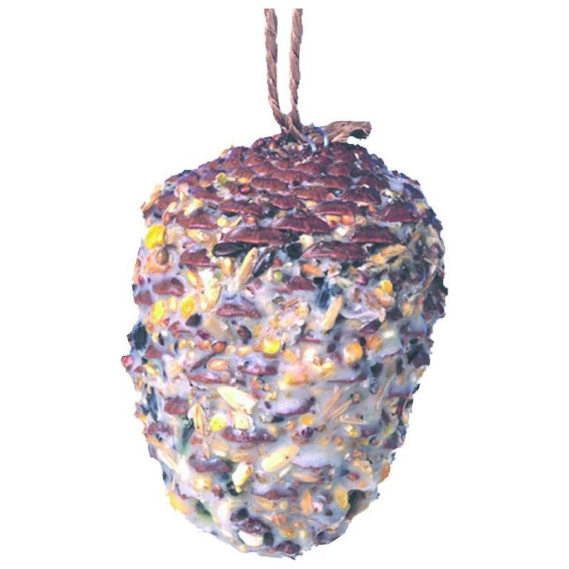 CÔNE GÉANT POUR OISEAUX 350GR