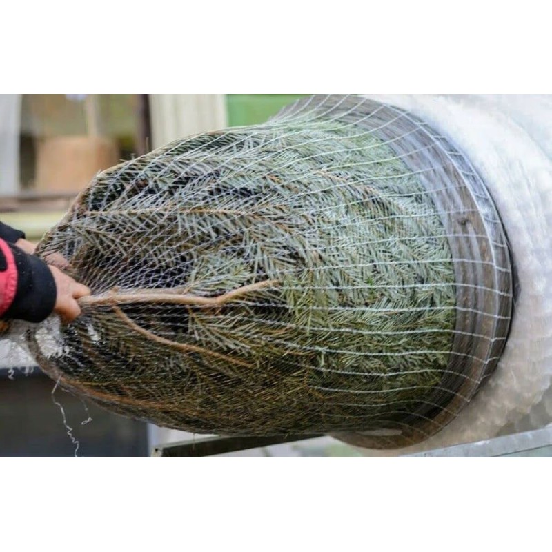 FILET SAPIN Ø45 CM 300m