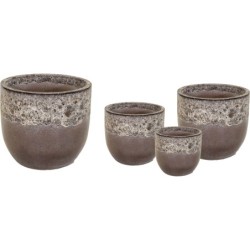 NOBLE EGG 2TONE MACCHIATO...