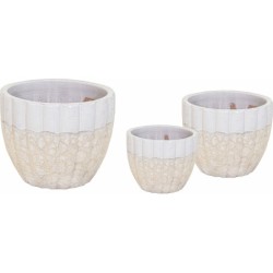 A. 2TONE MELON EGG...