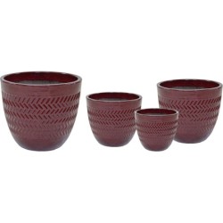 NOBLE EGG WAVES OXBLOOD S4...