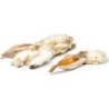 OREILLES DE LAPIN AVEC POILS AU KG - RABBIT EARS WITH HAIR