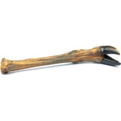 PATTES DE CERF - DEER LEGS