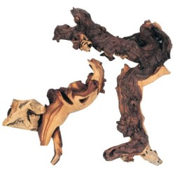 RACINE MAUPANI LARGE    DEST