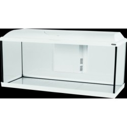 KIT AQUA ISEO 100 LED BLANC...