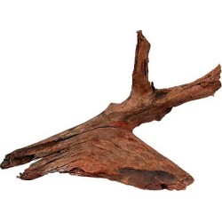 RACINE MANGROVE MEDIUM...