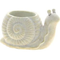 ESCARGOT BLANC - 2112.5 H13...