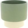 C.POT ORCHID12 VERT D13.5 H12.5CM 