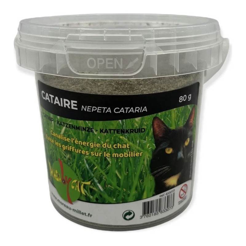 CATAIRE BROYÉE EN SEAU 80GR /8 - WASABYCAT