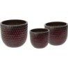 NOBLE EGG FACET OXBLOOD S3 D30/48H27/43