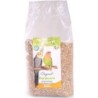 GRANDES PERRUCHES BASIC 4 KG remplace VGP4