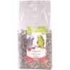PERROQUET BASIC 2,75 KG  remplace VPER2