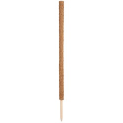 TUTEUR COCO 120 CM Ø4.2 CM