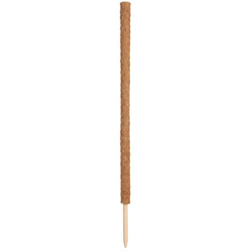 TUTEUR COCO 120 CM Ø4.2 CM