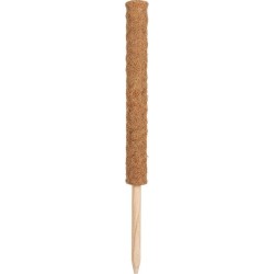 TUTEUR COCO 60 CM Ø3.8 CM