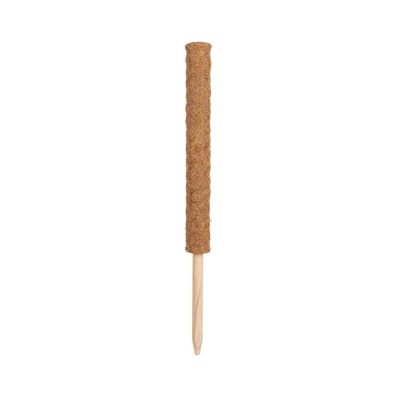 TUTEUR COCO 60 CM Ø3.8 CM
