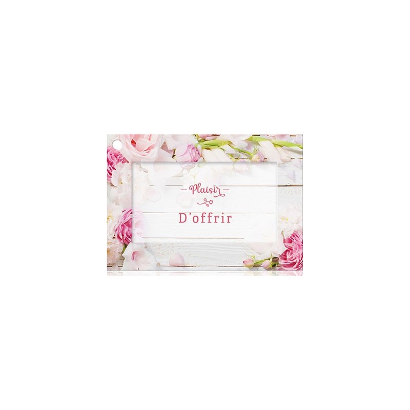 CARTES AVEC ENVELOPPE PLAISIR D'OFFRIR 7 X 10 CM - LOT DE 10