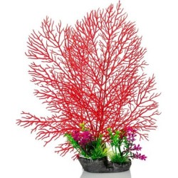 PLANTE AQUA H 37 CM