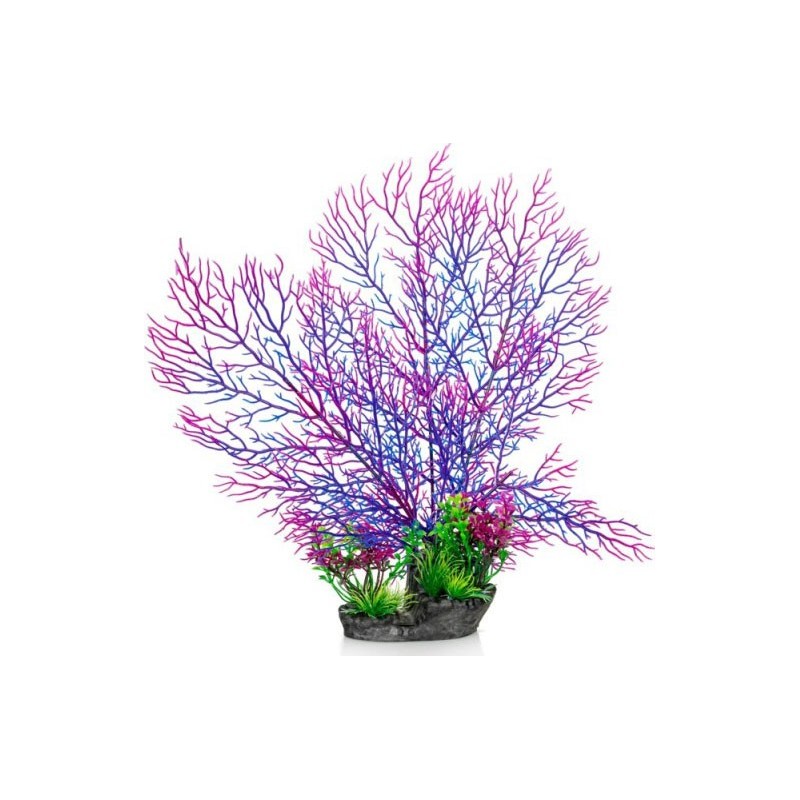 PLANTE AQUA H 37 CM