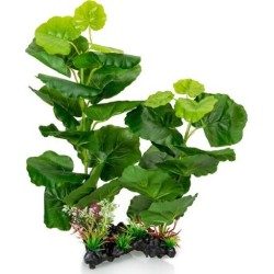 PLANTE AQUA H 35 CM