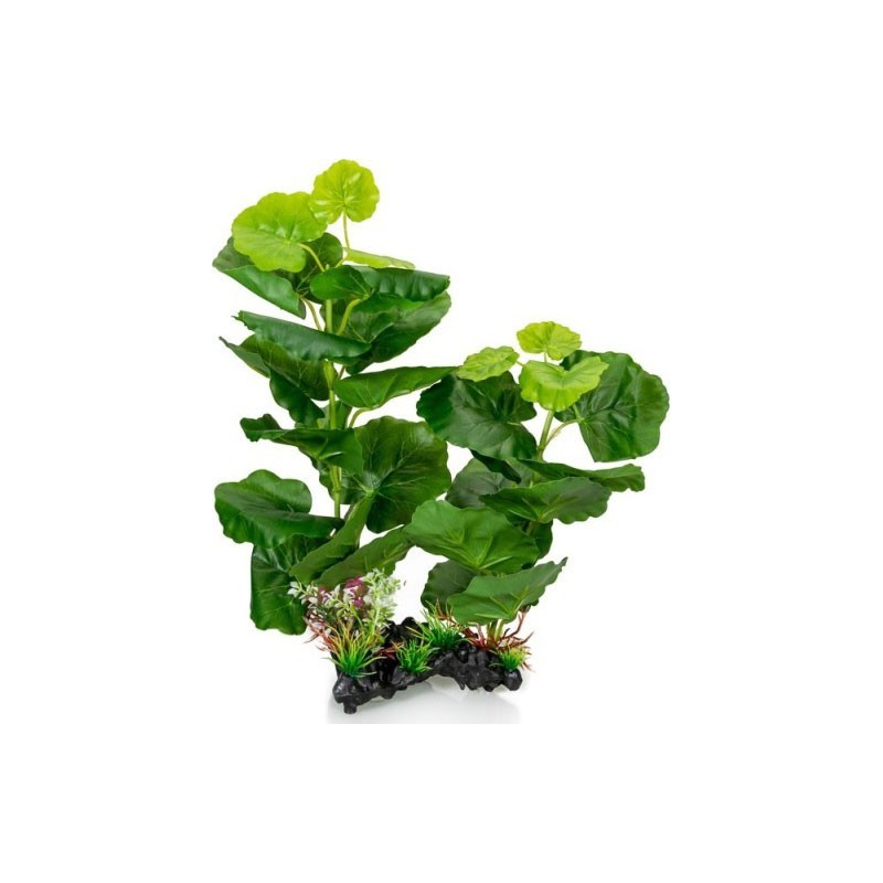 PLANTE AQUA H 35 CM