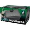REPTO INCUBATEUR