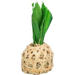 ANANAS, BAMBOU AVEC...