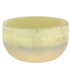 COUPE BASE ARGENT D25 H12CM