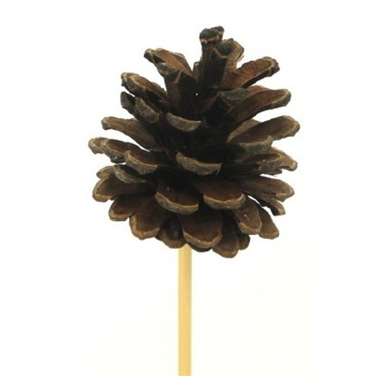 PIQUE POMME DE PIN NATUREL 7 H20CM