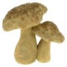 DECO CHAMPIGNON BLANC 23*17 H23CM