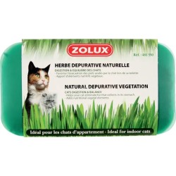 HERBE A CHAT DEPURATIVE**...