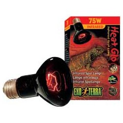 LAMPE INFRA REPTILE 75W...