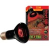 LAMPE INFRA REPTILE 75W 63mm* HAGEN