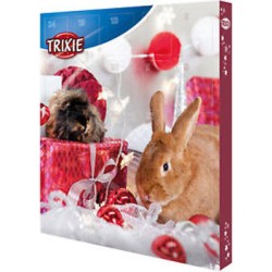 CALENDRIER DE L AVENT POUR...