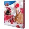 CALENDRIER DE L AVENT POUR RONGEURS NOEL**   TRIXIE