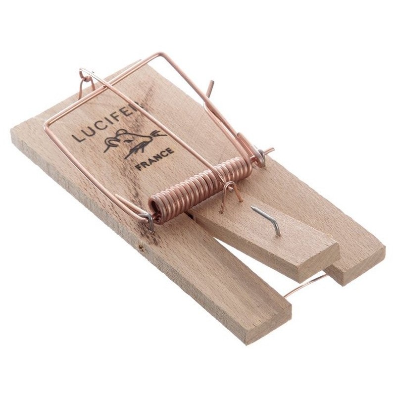 PIEGES RATS PRESENTOIR PAR 15 PCS