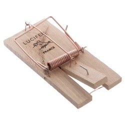 PIEGES SOURIS PRESENTOIR 