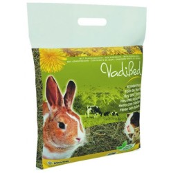 FOIN DE FLEURS DE PISSENLIT...