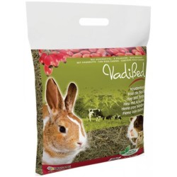 FOIN DE FLEURS D'ÉGLANTIER...