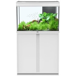 AQUA ELEGANCE EXPERT...