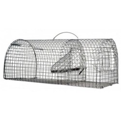 NASSE A RAT GRILLAGE...