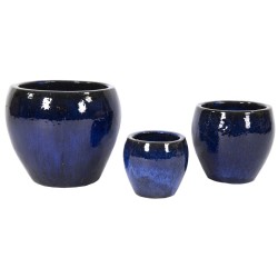 GLAZED BELLY FALLING BLUE...