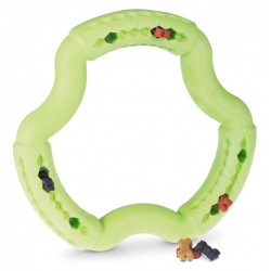 JOUET CHIEN TPR ANNEAU GREEN POMME 21CM** VADI