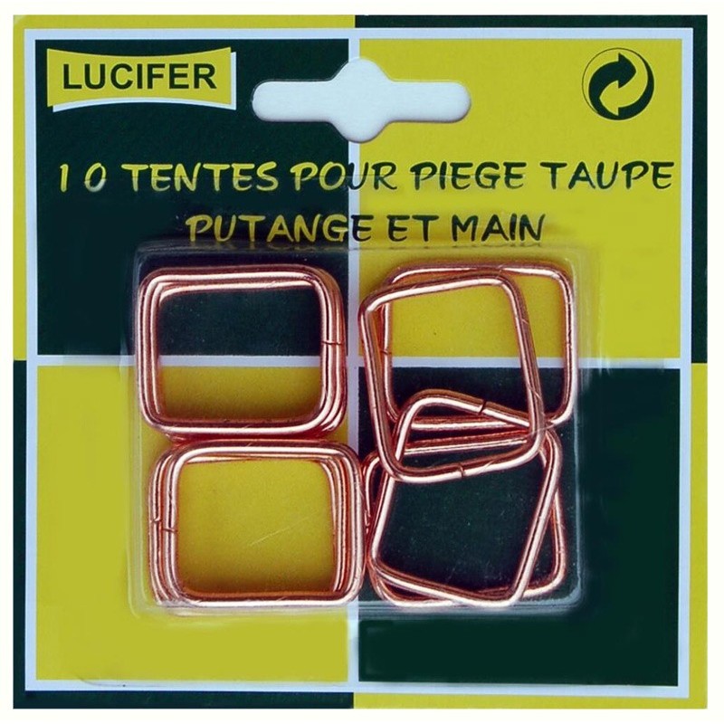 CARTE DE 10 TENTES PUTANGE OU MAIN