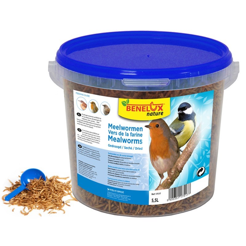 VERS DE FARINE SEAU 5.5L OISEAUX DU CIEL*